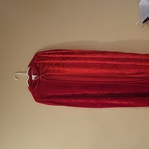 Red velvet cape costume